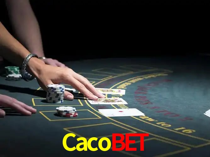 Descubra a Essência do Cacobet: Nossa História e Compromissos